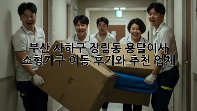 부산 사하구 장림동 용달이사 소형가구 이동 후기와 추천 업체